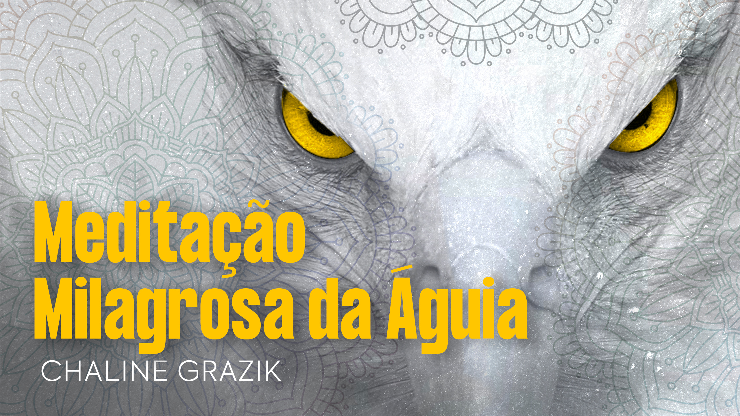 Meditação MIlagrosa Chaline Grazik.jpg