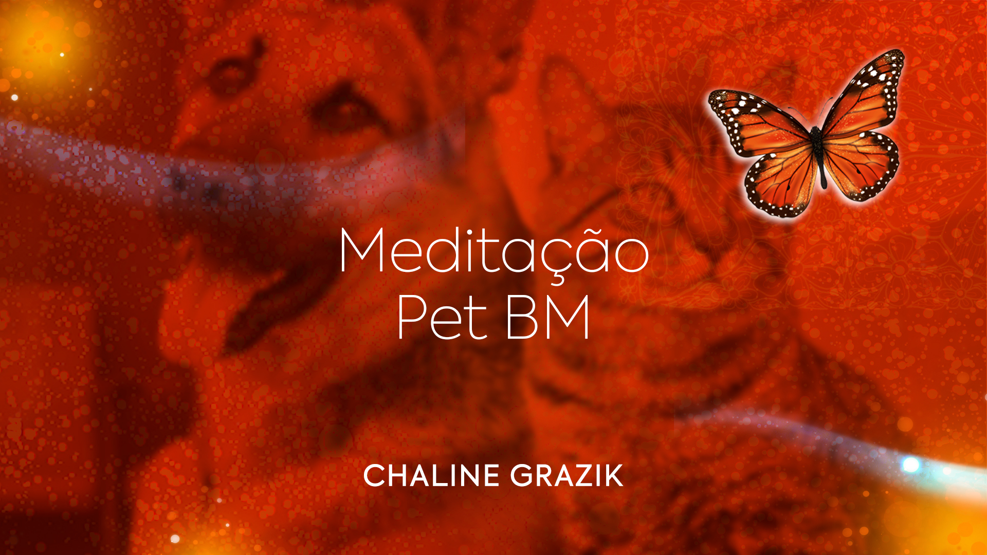 Meditação Pet Borboleta Milionaria Chaline Grazik.jpg