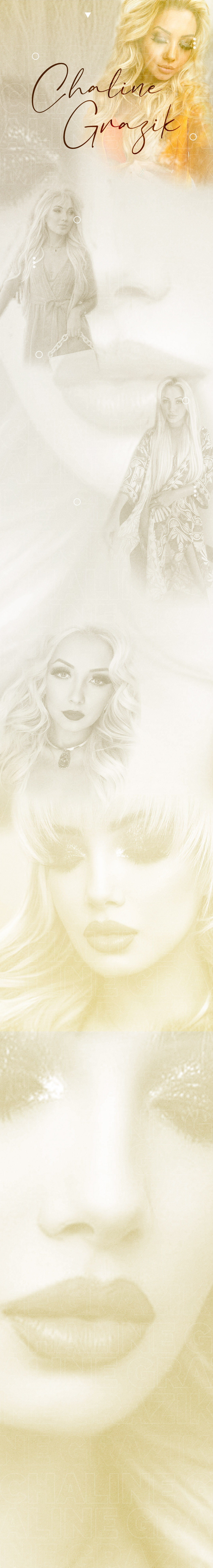 Link Perfil Chaline Grazik.jpg